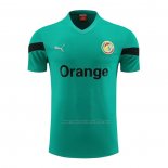 Camiseta de Entrenamiento Senegal 2023-2024 Verde