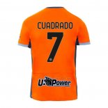 Camiseta Inter Milan Jugador Cuadrado Tercera 2023-2024